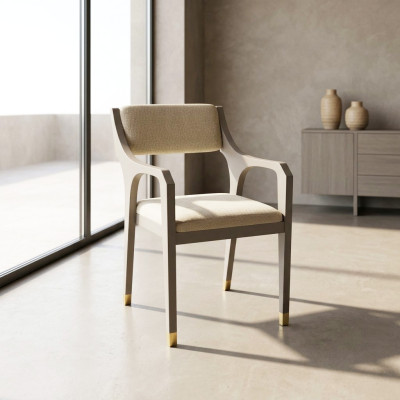Design dining room chair with unique shaping, stylish modern new
