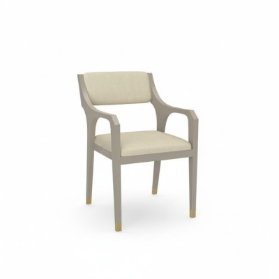 Design dining room chair with unique shaping, stylish modern new