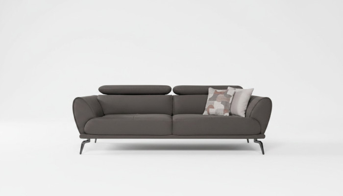 Gray designer sofa with upholstery, leather sofas, wooden frame