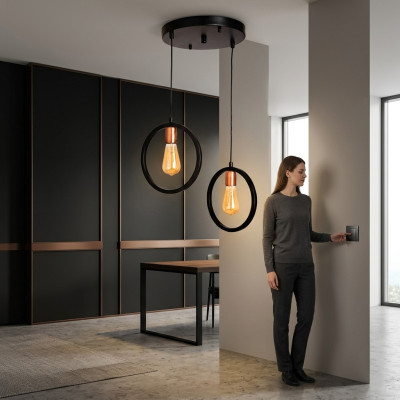 Ceiling lamp for living room or guest luxurious black stylish light