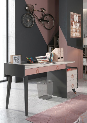 Secretariat Desk Design Luxurious Writing Furniture Wooden Desks