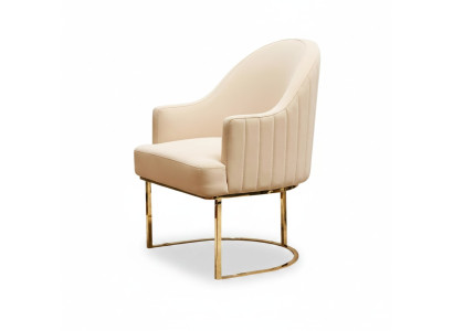 Dining room chairs, living room luxurious beige chair with metal, modern new.