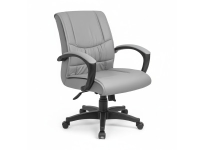 Luxury Office Chair Padded Chairs Designer Furniture Rotatable Office