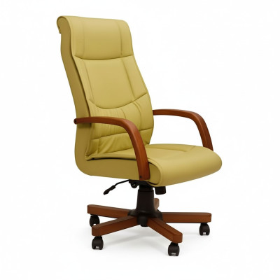 Luxury Chair Green Office Chairs Upholstered Chair Design Furniture Office Swivel Chair New