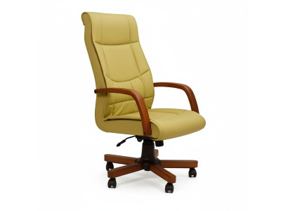 Luxury Chair Green Office Chairs Upholstered Chair Design Furniture Office Swivel Chair New