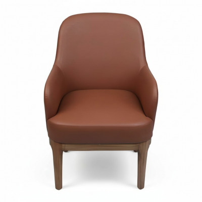 Brown living room armchair designer single-seat luxury recliner chairs