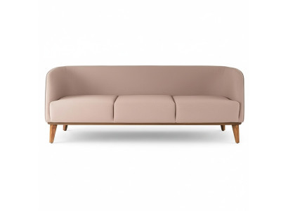 Beige Sofa Stylish 2-Seater Modern Living Room Couch Upholstered Sofas