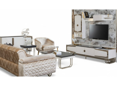 Exclusive Stainless Steel TV Cabinet Designer Wall Shelf Luxury Living Room Set