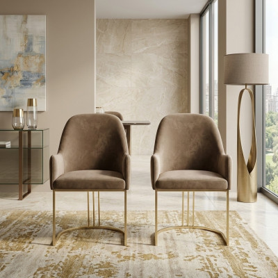Chair Gold Dining Room Design Textile Chairs Furniture Luxury Armchair New