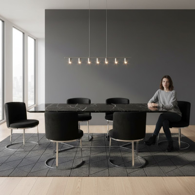 Modern black designer set of 6 chairs with stainless steel legs, dining chairs