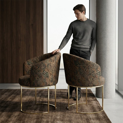 Dining room chairs living room luxurious multicolored 2x chairs metal modern new