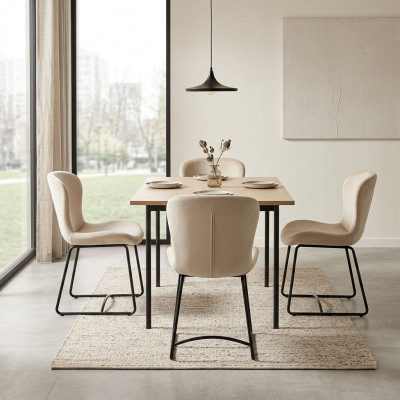 Dining room chair 4x chairs dining room modern chairs metal design white