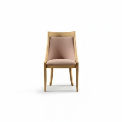 Dining room chair, luxury fabric, solid wood design chairs, classic upholstery