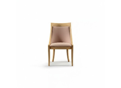 Dining room chair, luxury fabric, solid wood design chairs, classic upholstery