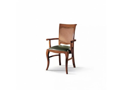 Dining chair luxury wooden armchair wooden chair classic chair designer
