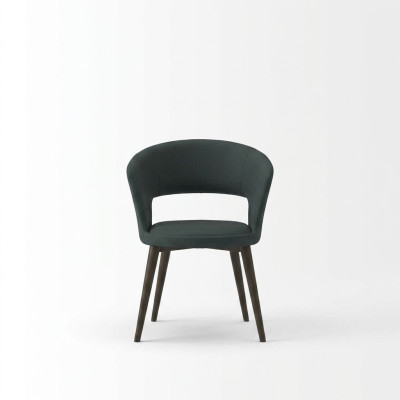 Dining room chair furniture modern luxury design furnishings chairs wood new