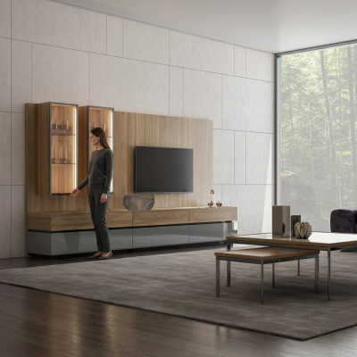 Luxury Complete Living Wall Brown Furniture Designer Set Furnishing TV Stand Modern