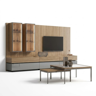 Luxury Complete Living Wall Brown Furniture Designer Set Furnishing TV Stand Modern