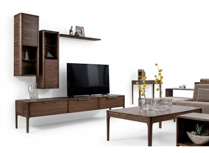 Living room set cabinet wall shelf with TV stand modern design living wall