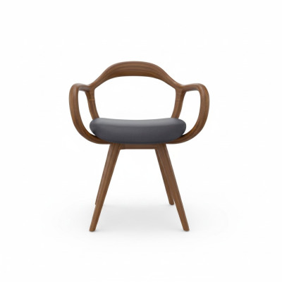 Chairs living room dining room armchair wooden chair with armrest dining room furniture