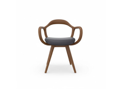 Chairs living room dining room armchair wooden chair with armrest dining room furniture