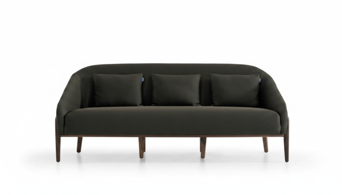 Sofa for Living Room Luxury Modern Design with Armrest Furniture Sofas