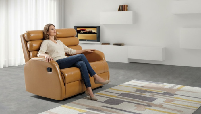 Modern two-seater couch faux leather design sofa living room furniture brown