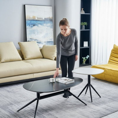 Set of 2 coffee tables side table designer living room table