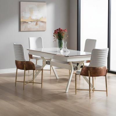 Dining room furniture set 6x chairs + dining table luxury furniture group new