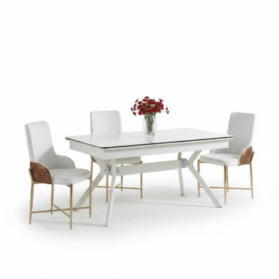 Dining room furniture set 6x chairs + dining table luxury furniture group new