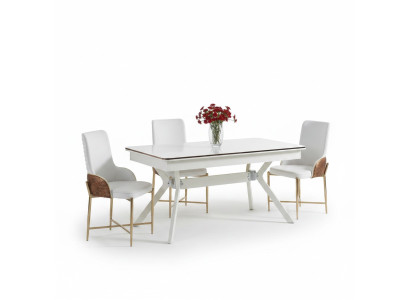 Dining room furniture set 6x chairs + dining table luxury furniture group new