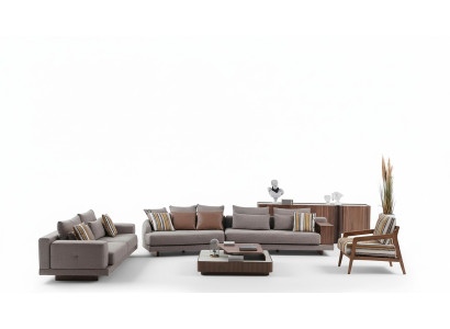 Gray living room sofas fabric sofas designer armchair wood coffee table 5-piece set.
