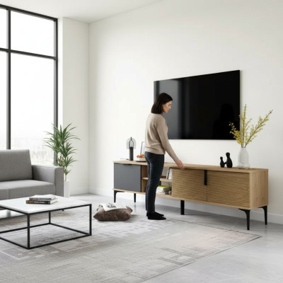 Brown-Gray RTV TV Lowboard Cabinet Modern Design Rectangular Shape Living Room