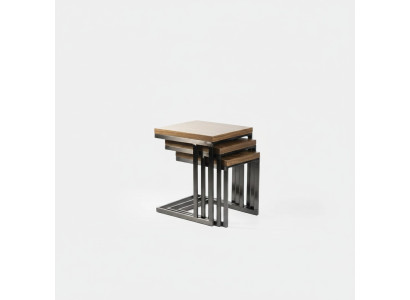 Living room 3x side table luxury wood table stainless steel design furniture furnishing
