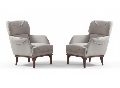 Light gray, dewy, modern style armchair for living room new 2-piece set