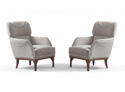 Light gray, dewy, modern style armchair for living room new 2-piece set