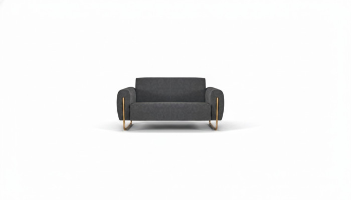 Fabric Sofa Gray Solid Color Home Office 2-Seater Stainless Steel Modern Design
