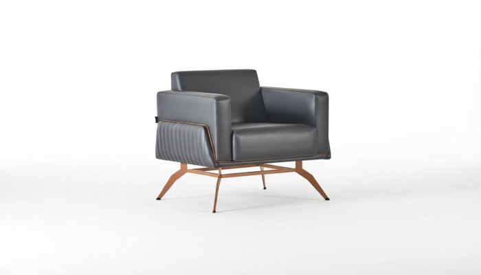 Black Armchair Single Color Modern Design 1-Seater Study Room Stainless Steel