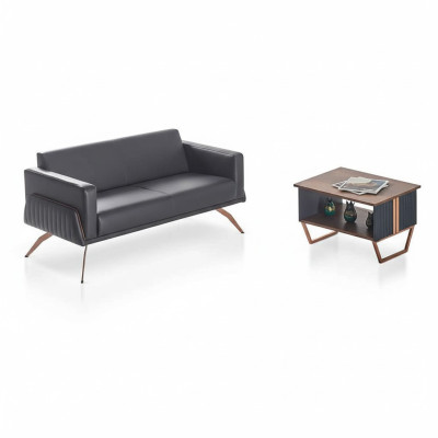 Study room set, 2-piece, 2-seater with coffee table, gray brown two-tone