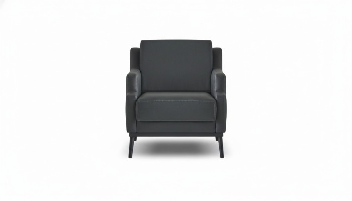 Armchair Dark Gray Solid Color Modern Style Design Study Living Room