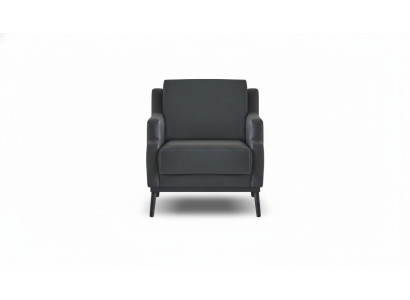 Armchair Dark Gray Solid Color Modern Style Design Study Living Room