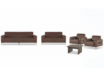 Exclusive brown study furniture, designer coffee table, armchair, 2x sofas