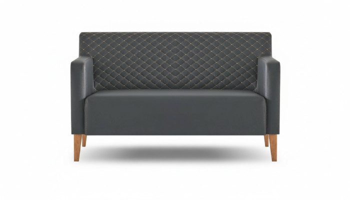 Sofa 2-seater study black solid color modern design living room