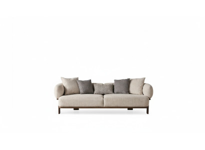 Modern gray sofa for luxurious living room decoration