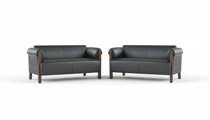 Couch Modern Sofa Set 2-Seat Leather Sofas Black Wood Leather Sofas