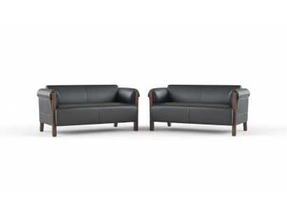 Couch Modern Sofa Set 2-Seat Leather Sofas Black Wood Leather Sofas