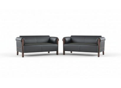 Couch Modern Sofa Set 2-Seat Leather Sofas Black Wood Leather Sofas