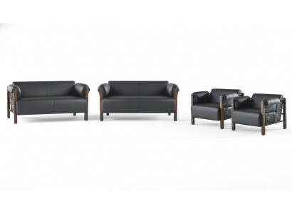 Leather sofas, couch, 2-seater sofas, sofas, armchair, black, modern, leather, wood
