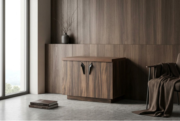 Brown two-door dresser office study modern rectangular sideboard