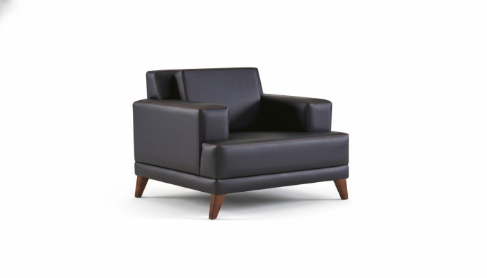 Armchair, black, upholstery, modern, cushion, study, living room, leather, wood.